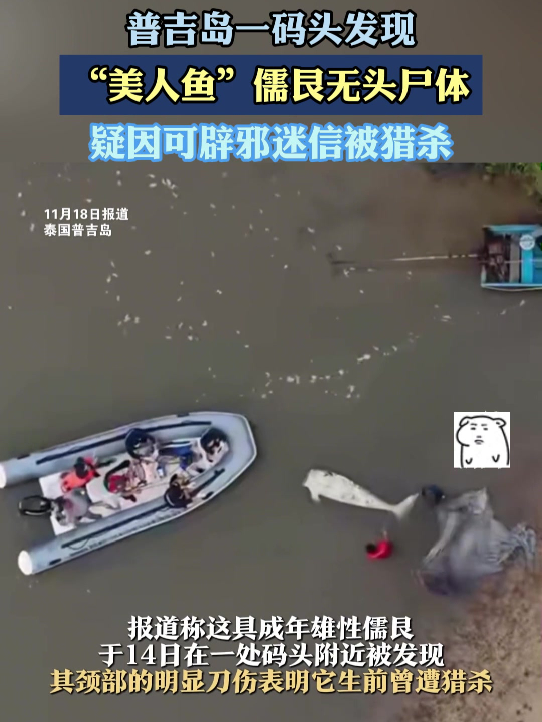 普吉岛一码头发现,“美人鱼”儒艮无头尸体