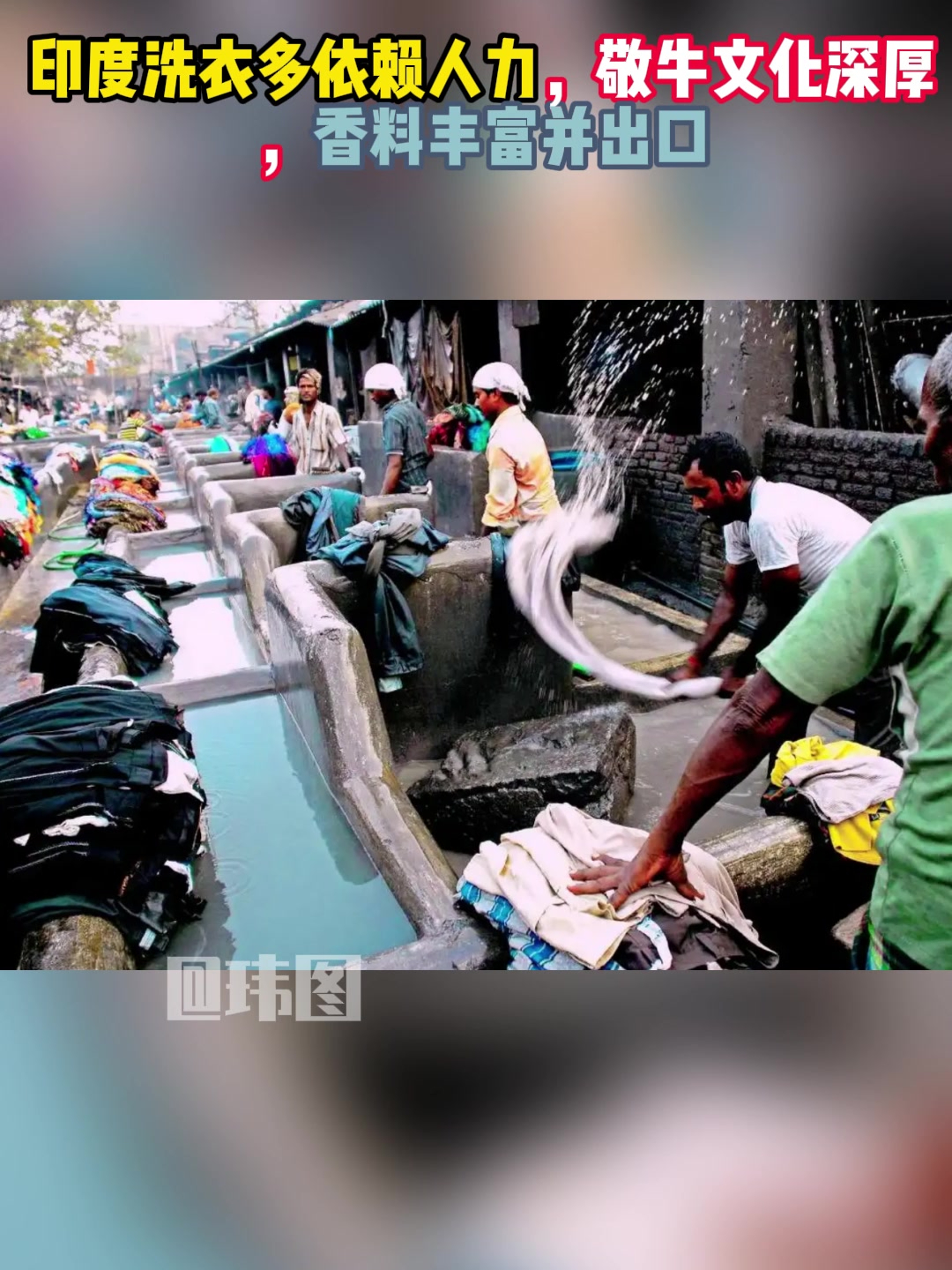 印度洗衣多依赖人力,敬牛文化深厚,其国家香料丰富并出口