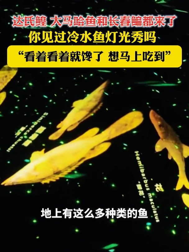 两极穿越龙江行|达氏鳇、大马哈鱼和长春鳊都来了!你见过冷水鱼灯光秀吗?“看着看着就馋了,想