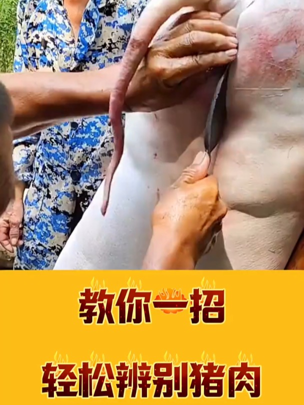 教你一招,轻松辨别猪肉好坏!