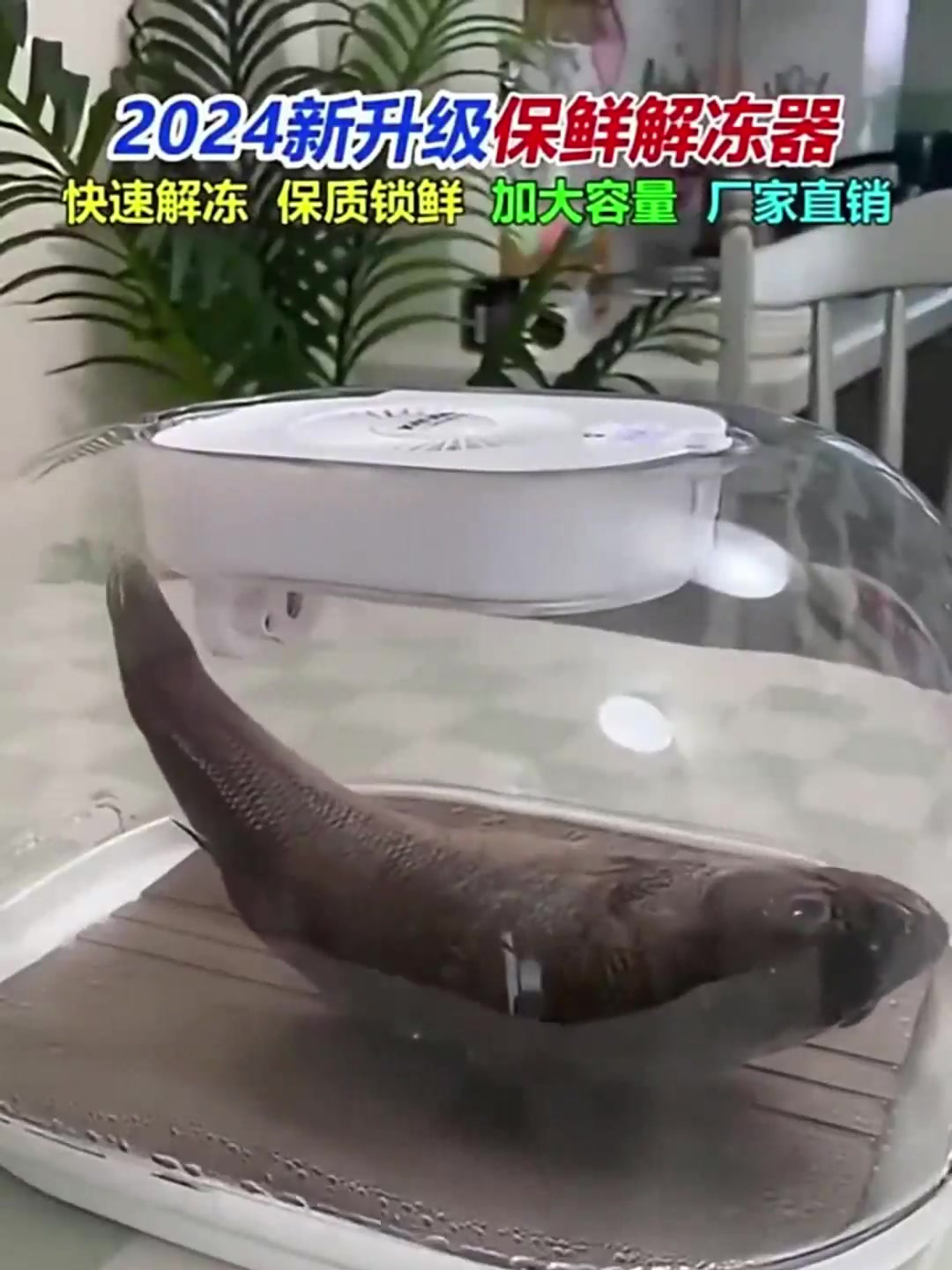 德国恒温解冻神器猪肉牛排羊肉类解冻盘导热板家用急速食物解冻器