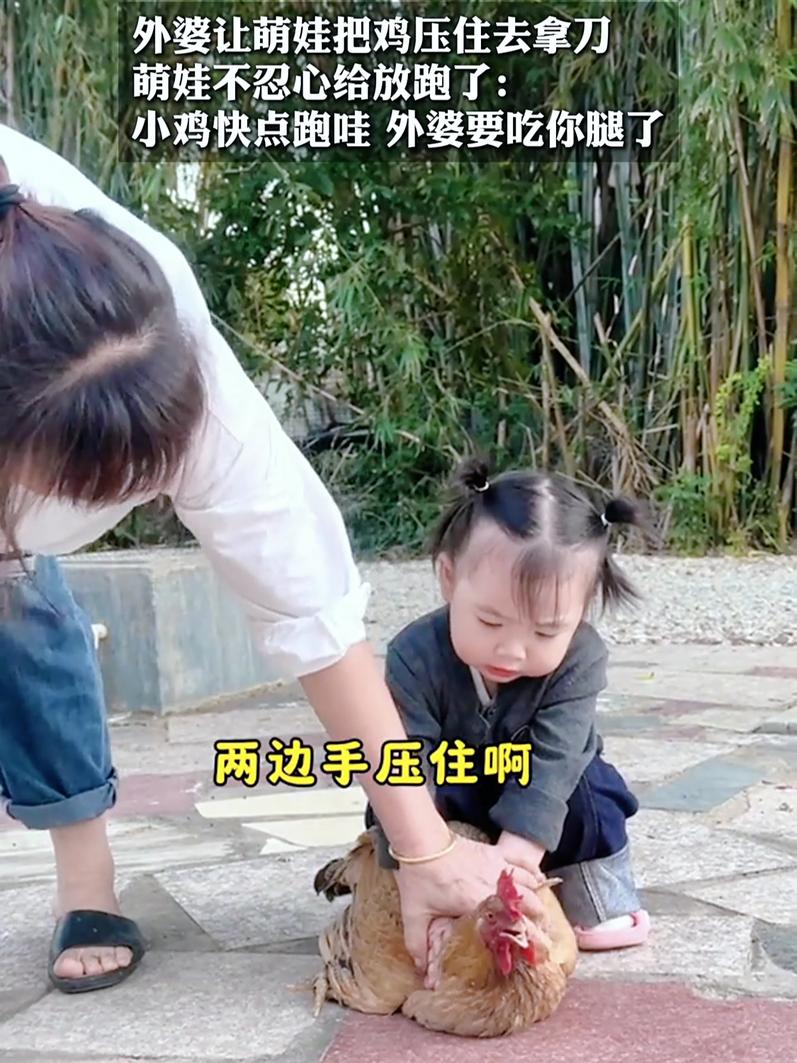 外婆要杀鸡,萌娃不忍心给放跑了:小鸡快点跑哇,外婆要吃你腿了