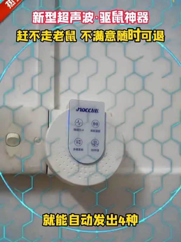 家里有老鼠怎么办?怎么才能有效赶走老鼠呢?