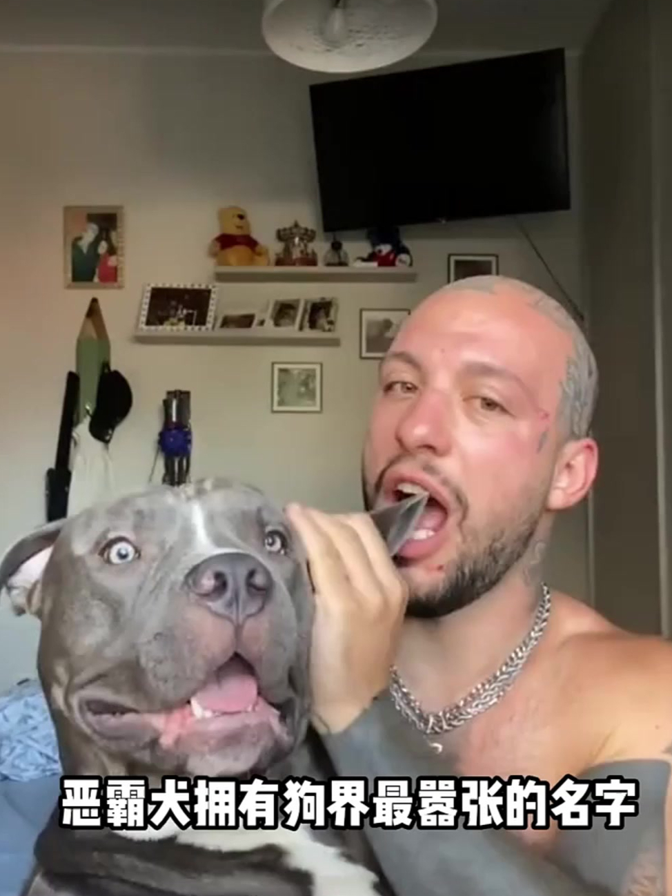 拥有狗界最嚣张名字的恶霸犬