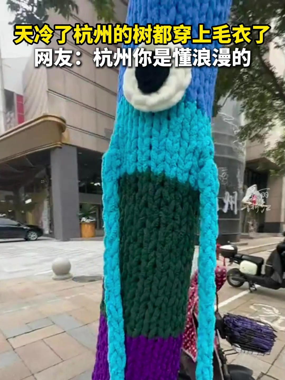天冷了杭州的树都穿上毛衣了,网友:奇奇怪怪可可爱爱!