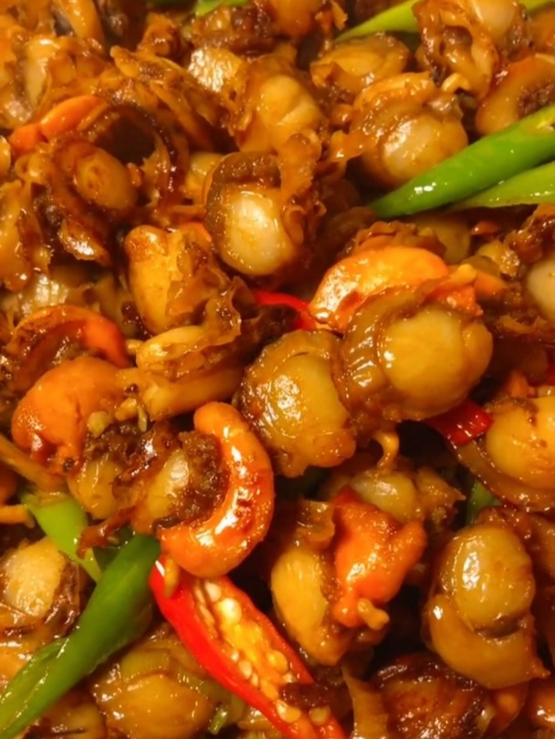 扇贝肉来袭,开启舌尖鲜味之旅