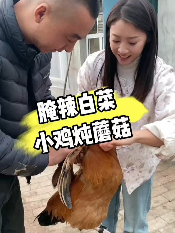 东北农村猫冬腌辣白菜,老同学带大公鸡来喽,做个小鸡炖蘑菇