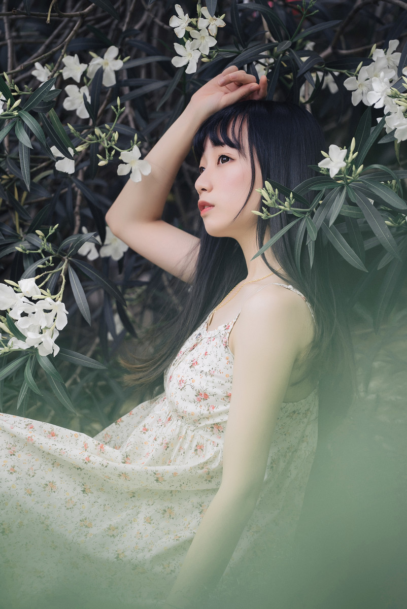 图片[8]-夹竹桃的秘密-六色网