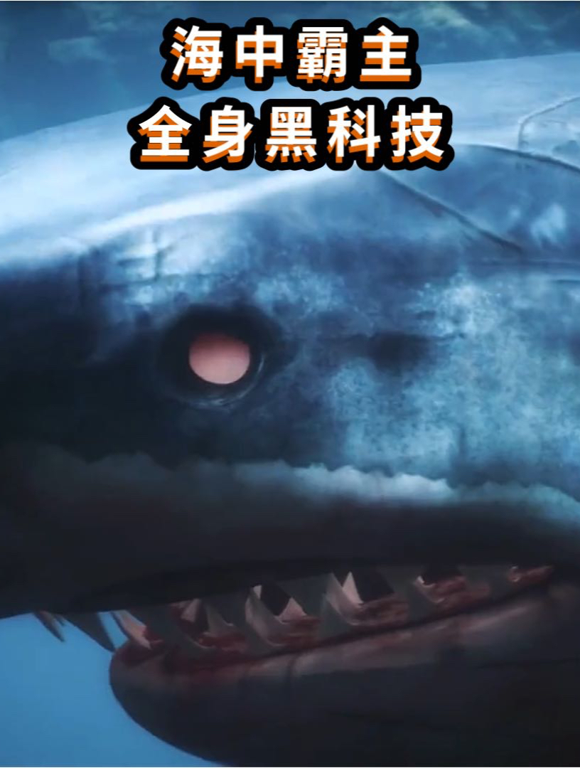 鲨鱼难怪被称为“海中霸主”,竟然浑身上下都是黑科技!