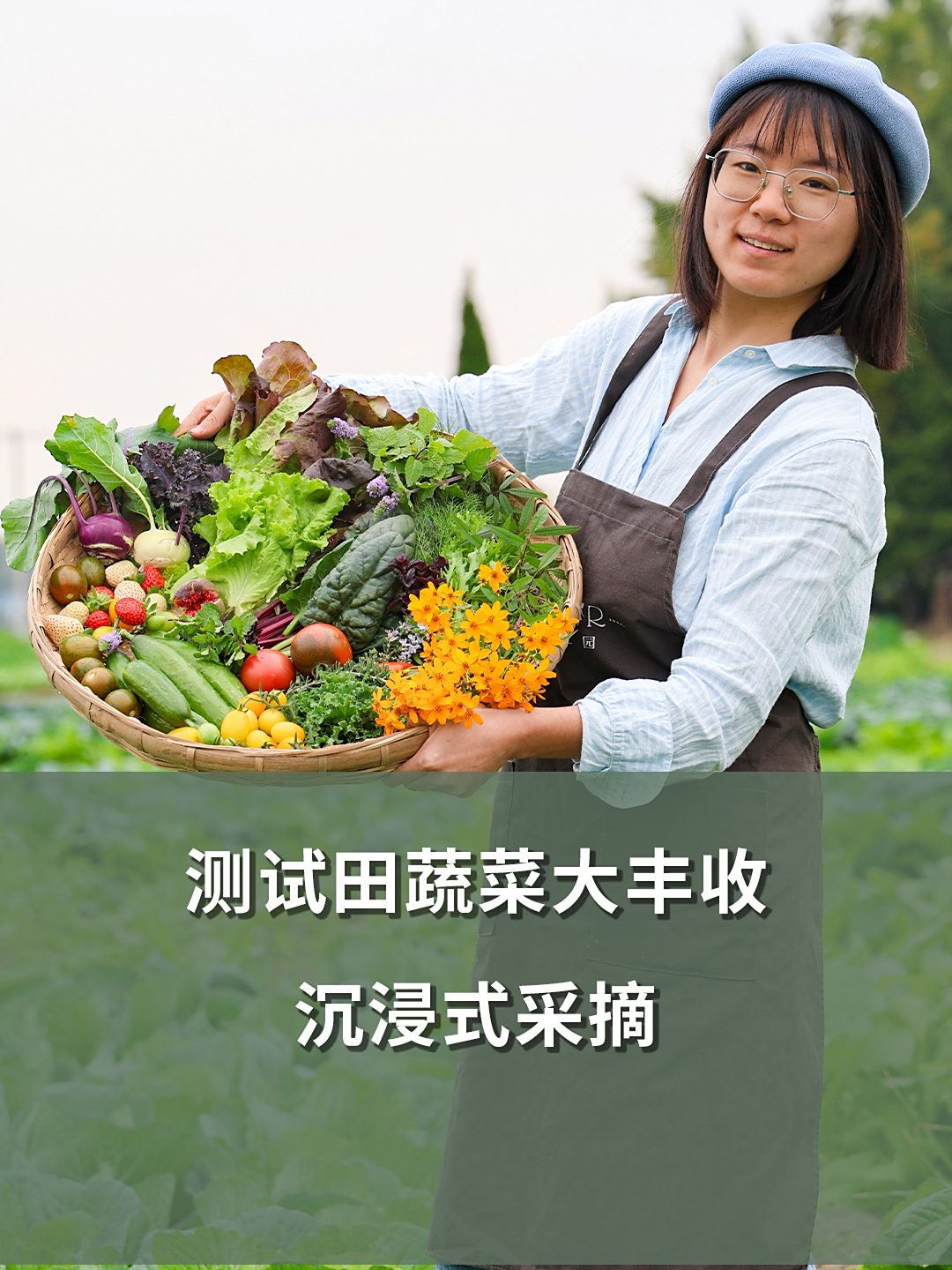 测试田蔬菜大丰收,沉浸式采摘