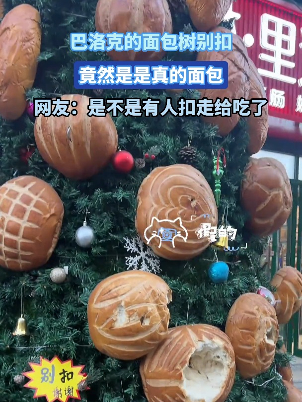 巴洛克的面包树别扣,真的是真的面包
