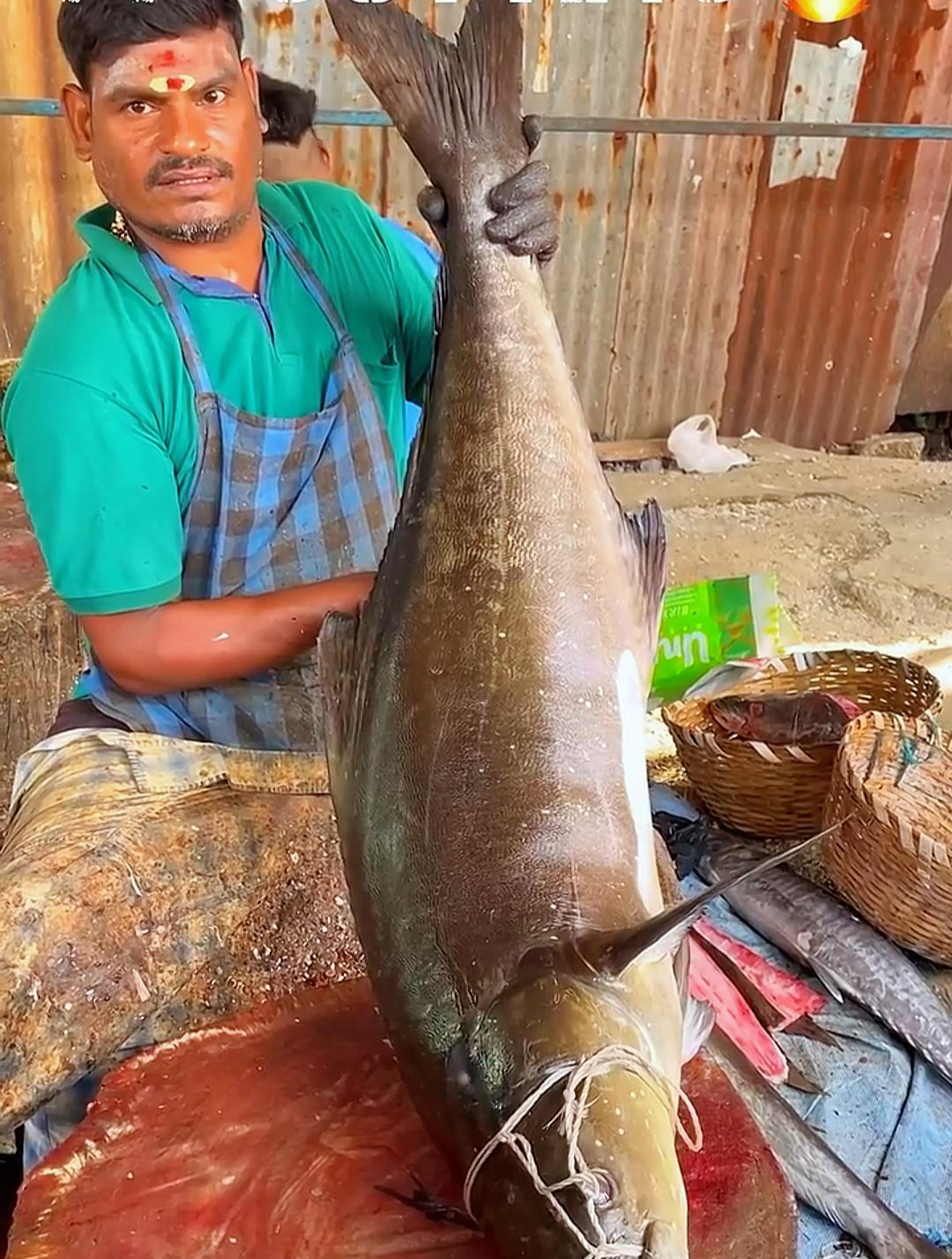 国外都是如何杀鱼的,印度人杀鱼很有特色,真的是让人大开眼界啊