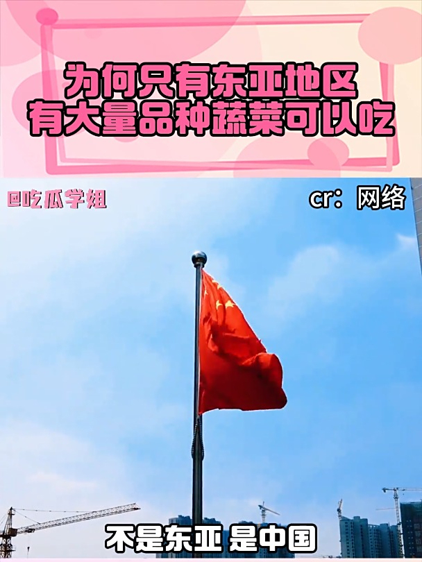 为什么似乎只有东亚地区有大量品种的蔬菜可以吃