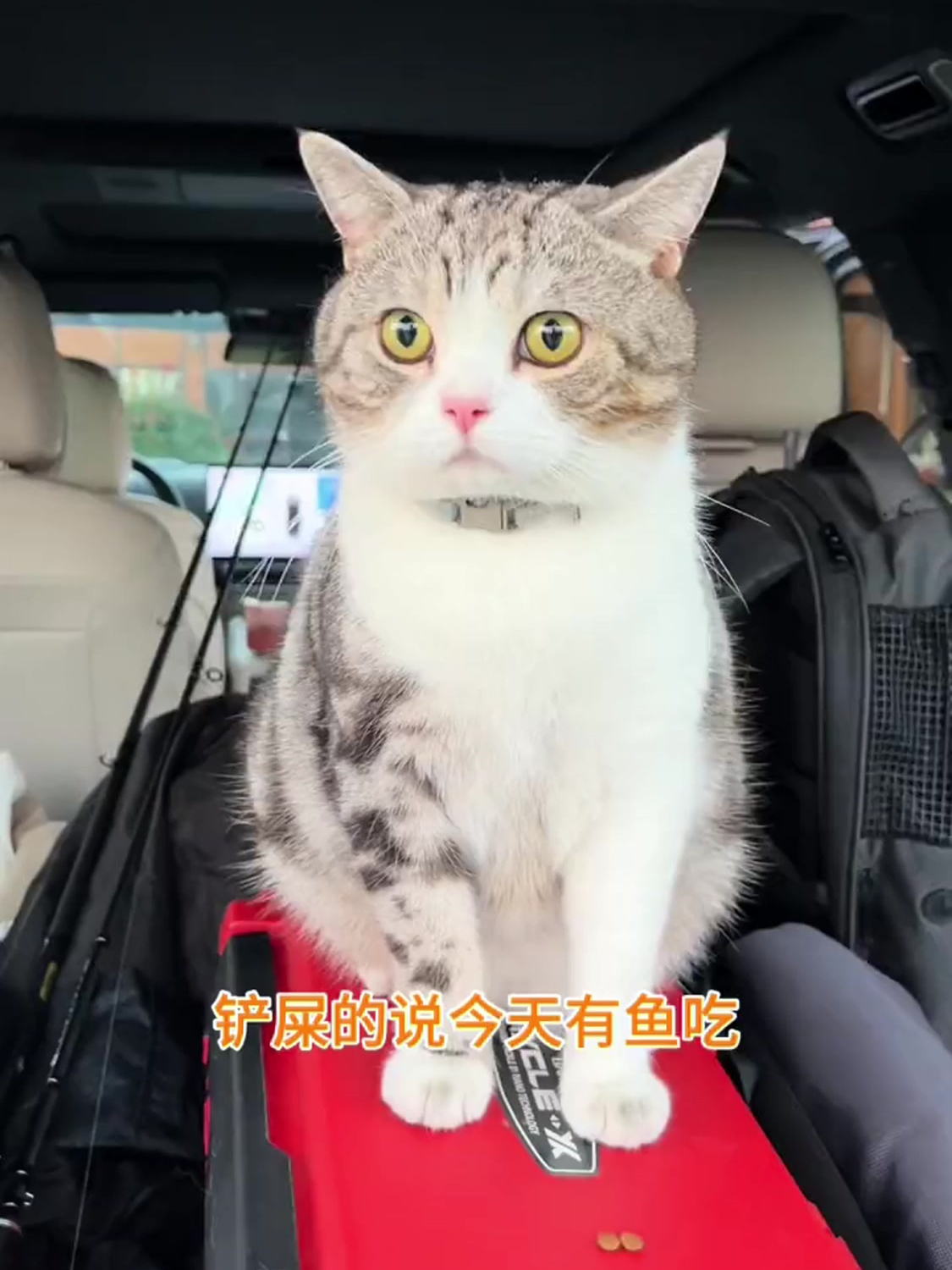 以后再也不相信,有什么海鲜自助餐这种事了