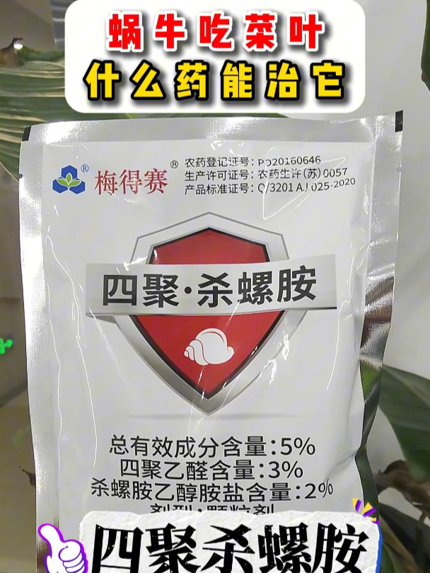 蜗牛太猖狂把菜叶全吃掉了,这个视频告诉你到底什么药能治它
