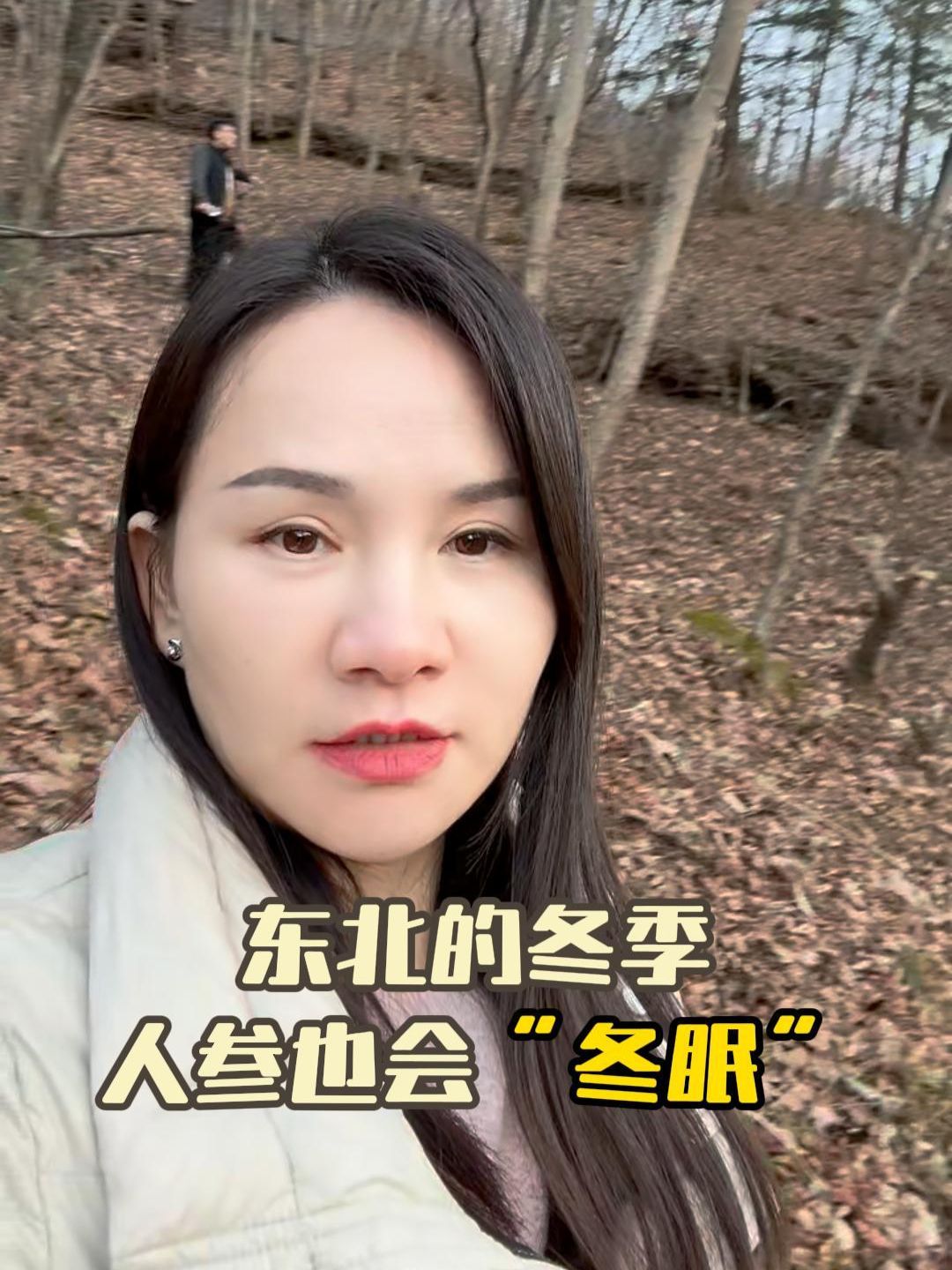 东北的冬季,人参也会“冬眠”