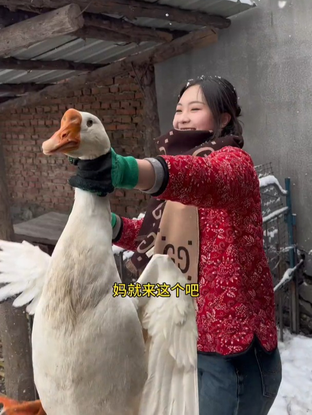 下雪炖大鹅,第一场雪来啦!咱家乡的规矩,落雪就得酸菜炖大鹅!