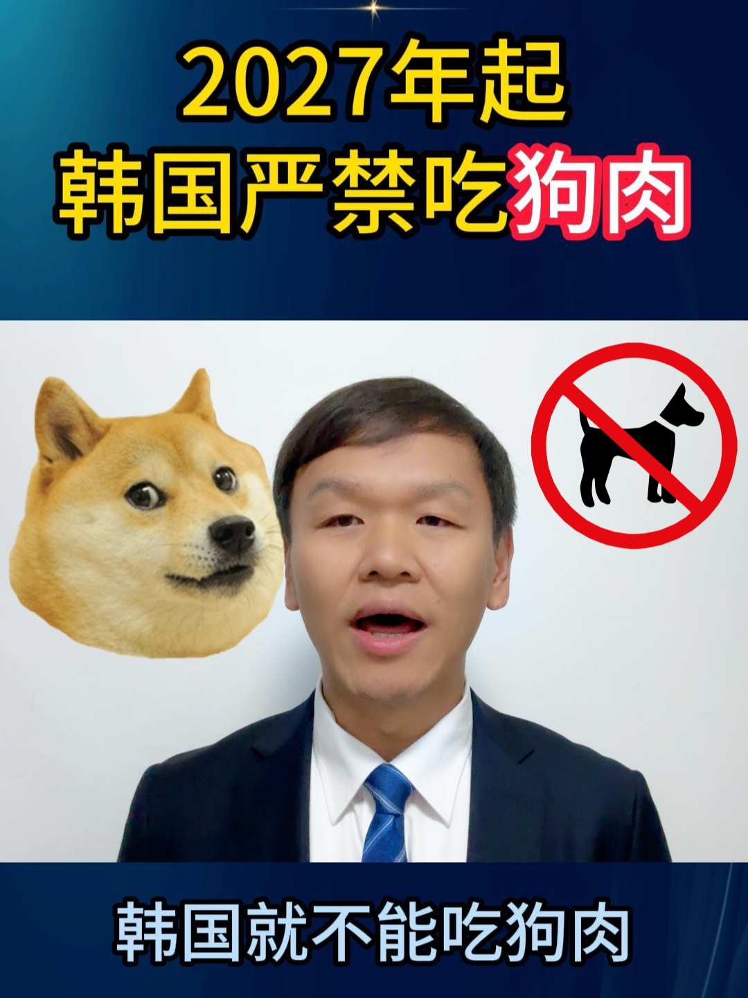 三年后,韩国严禁吃狗肉 热点新知