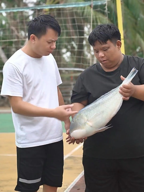 阿熊和阿阳约好一起锻炼,阿阳没来,阿业带了一只大青衣鱼来!