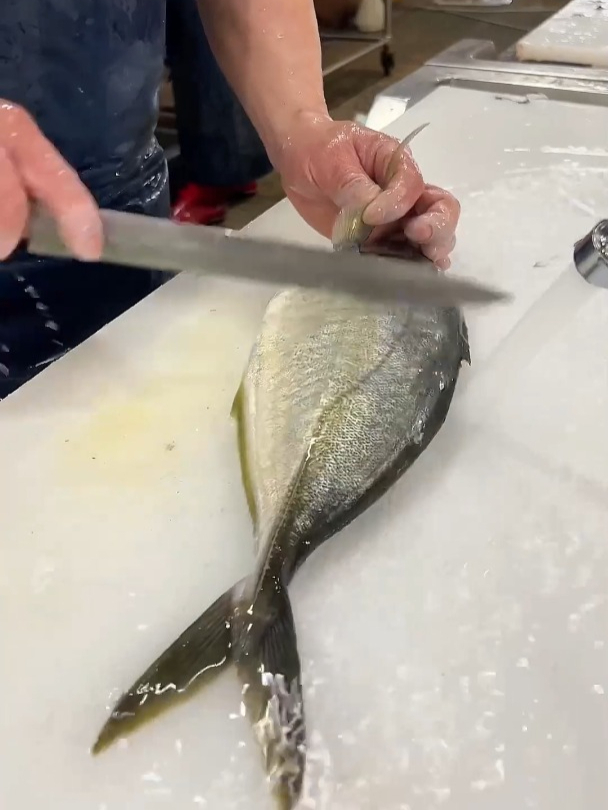 大竹鱼处理方法 海鲜料理 日本料理刺身