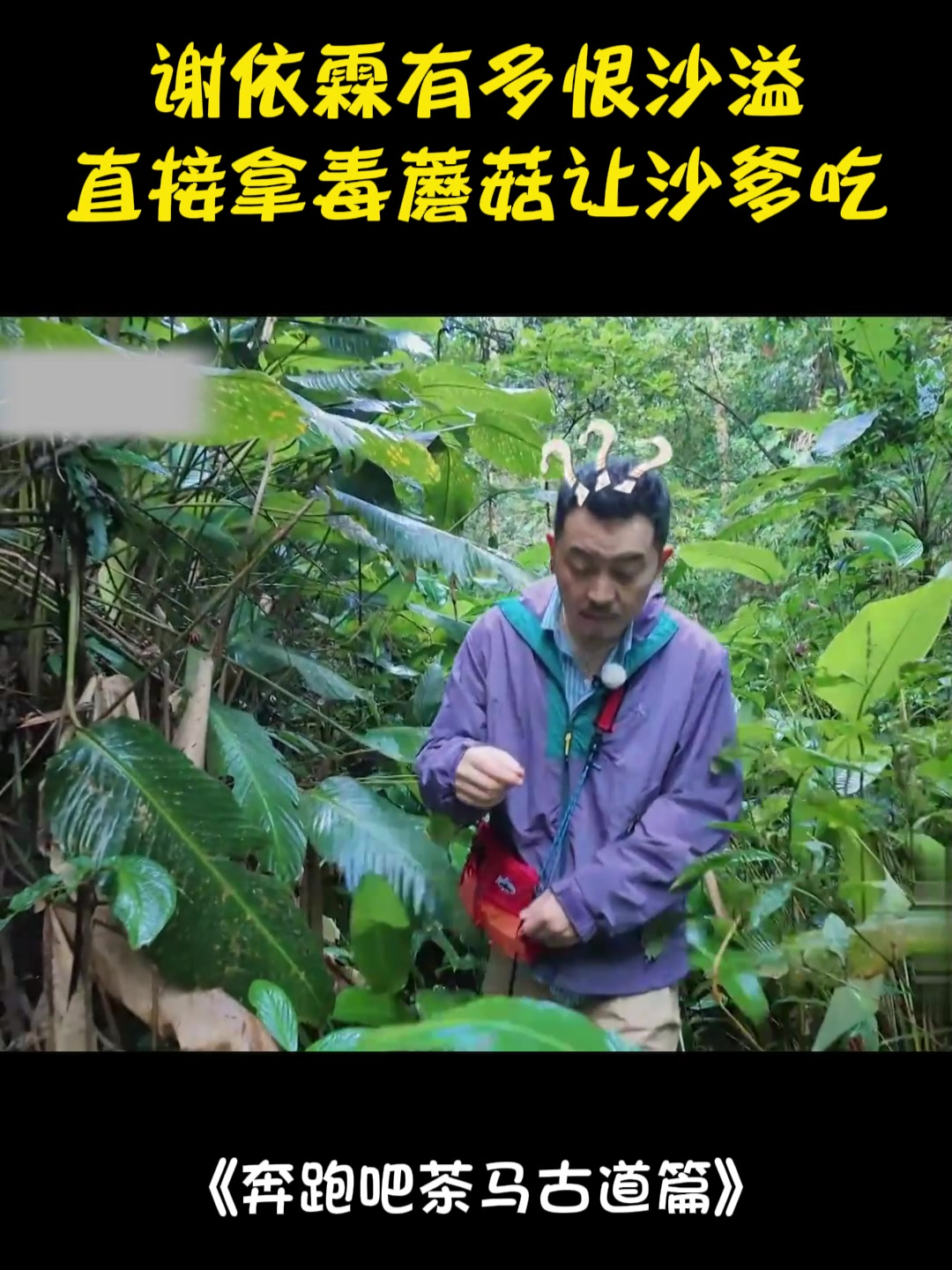 谢依霖有多恨沙溢?拿毒蘑菇让沙爹吃,沙爹:我谢谢你丨奔跑吧
