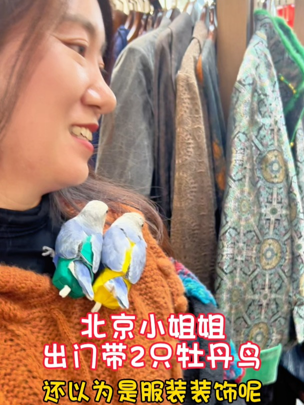 北京小姐姐出门带2只鸟,还以为服装装饰!真稀奇