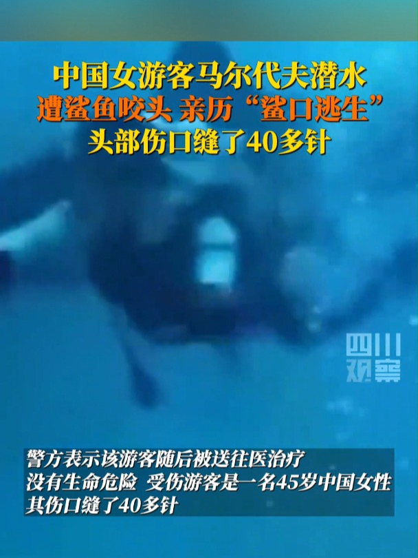 45岁中国女游客马尔代夫潜水遭鲨鱼咬头,女子挣扎逃离
