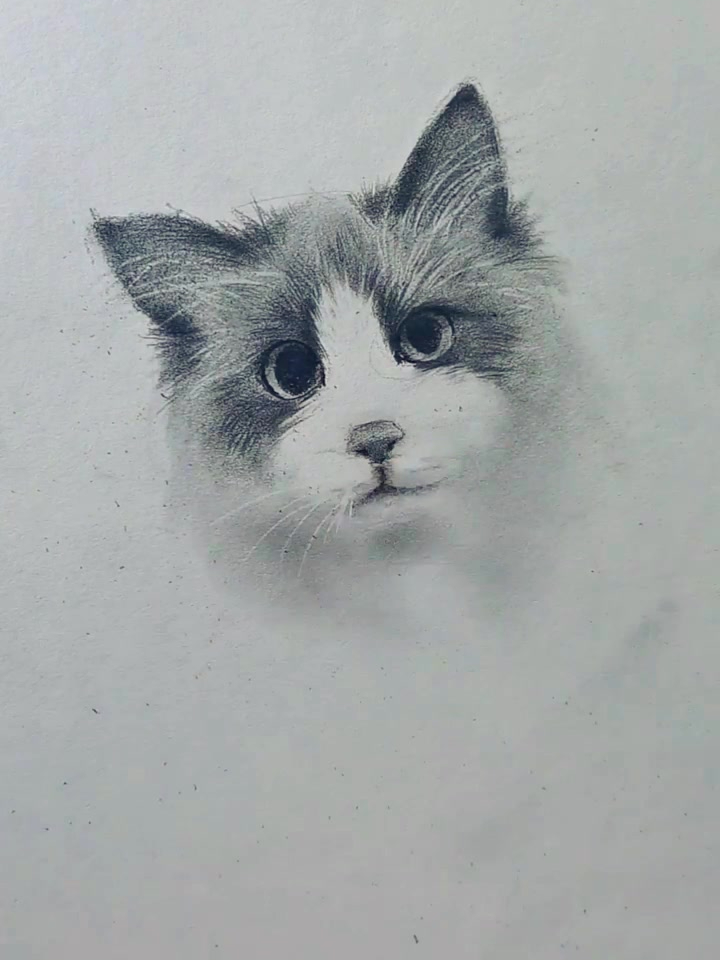超级简单的小猫咪画法,看完画一画自家的猫咪吧,素描动物