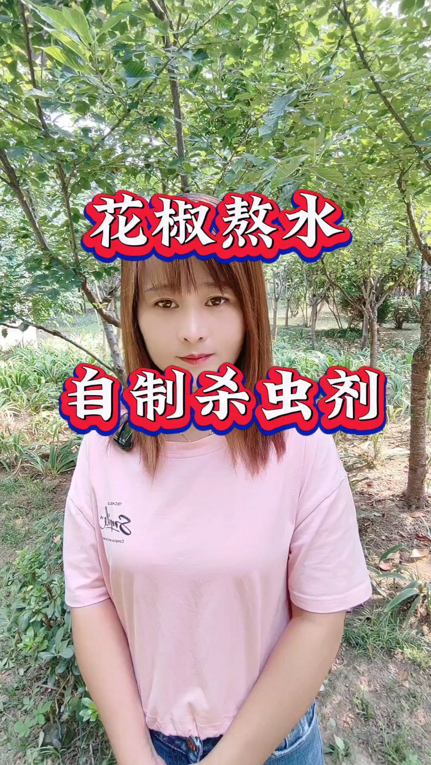 花椒熬水,自制杀虫剂