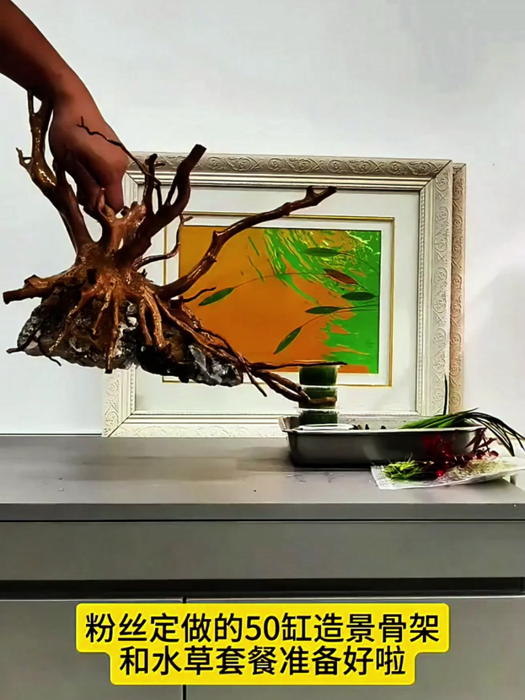 鱼缸造景一站式服务!