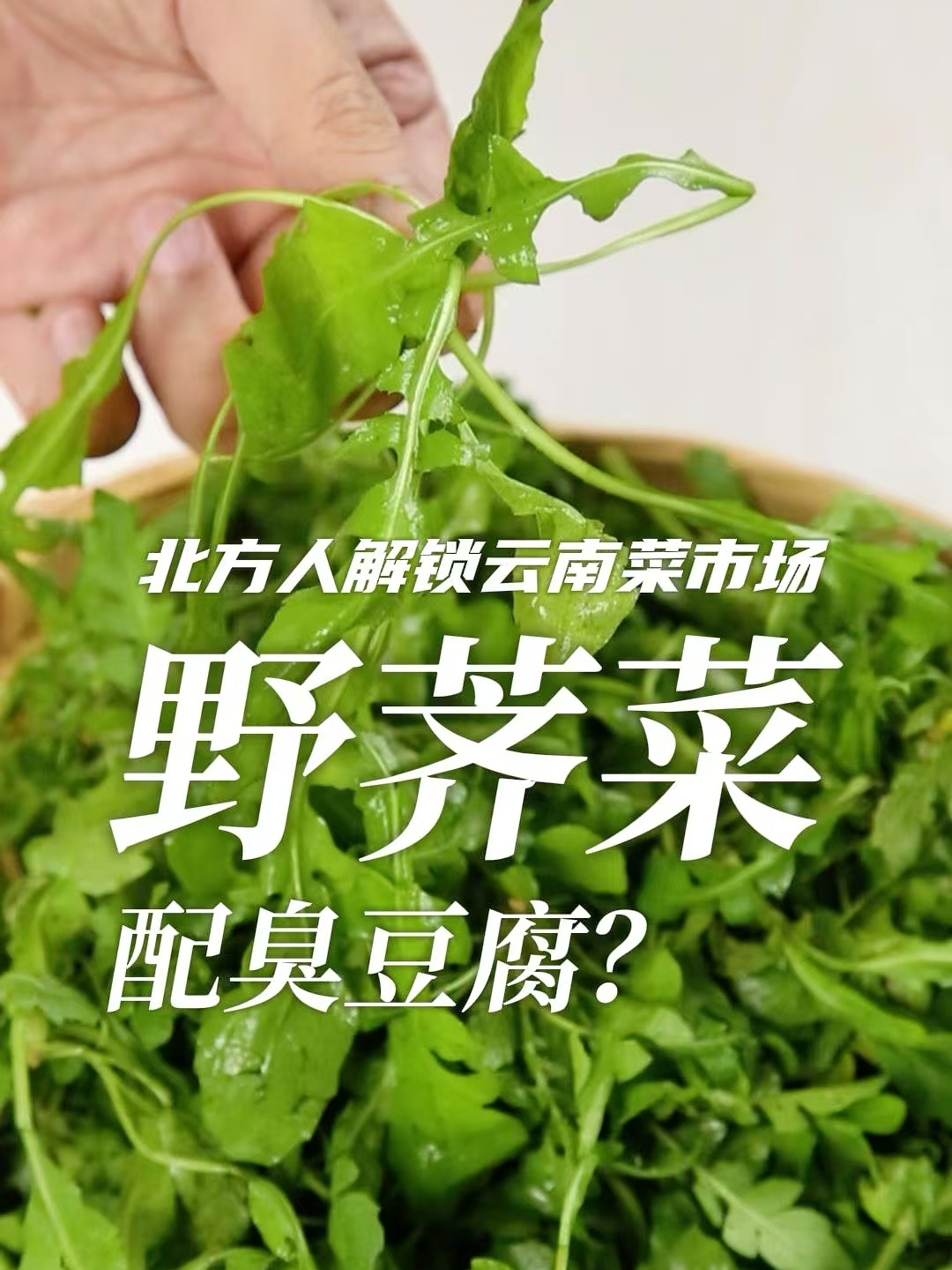荠菜配臭豆腐,这是什么神仙组合?!云南人真会吃……