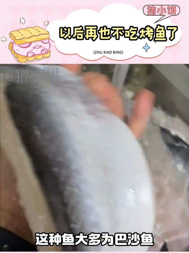 没想到我也是巴沙鱼
