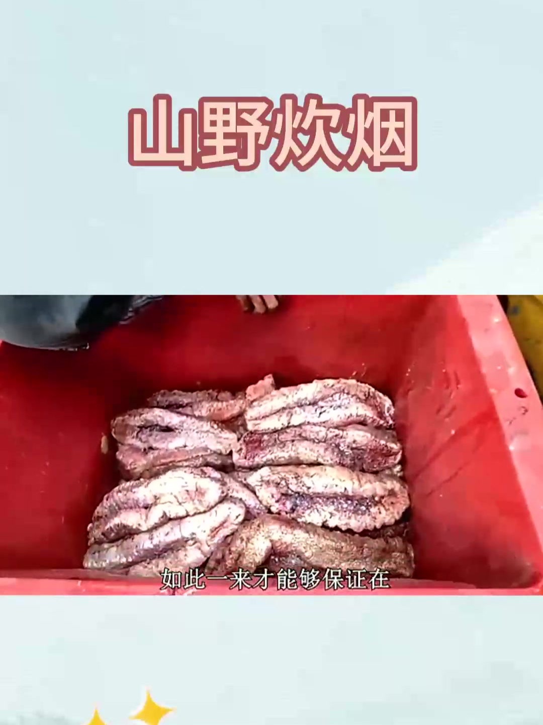 我们只捕极品海参和琵琶虾,狗鲨都不要!