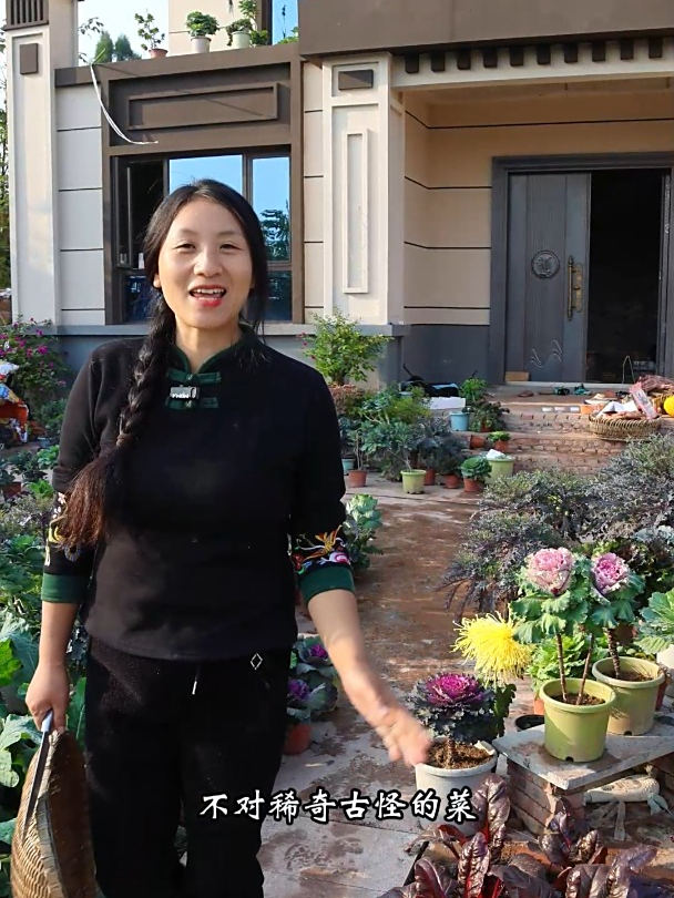 菜园里种了几十种稀奇古怪的蔬菜,都有哪些,一起来看一下(上)