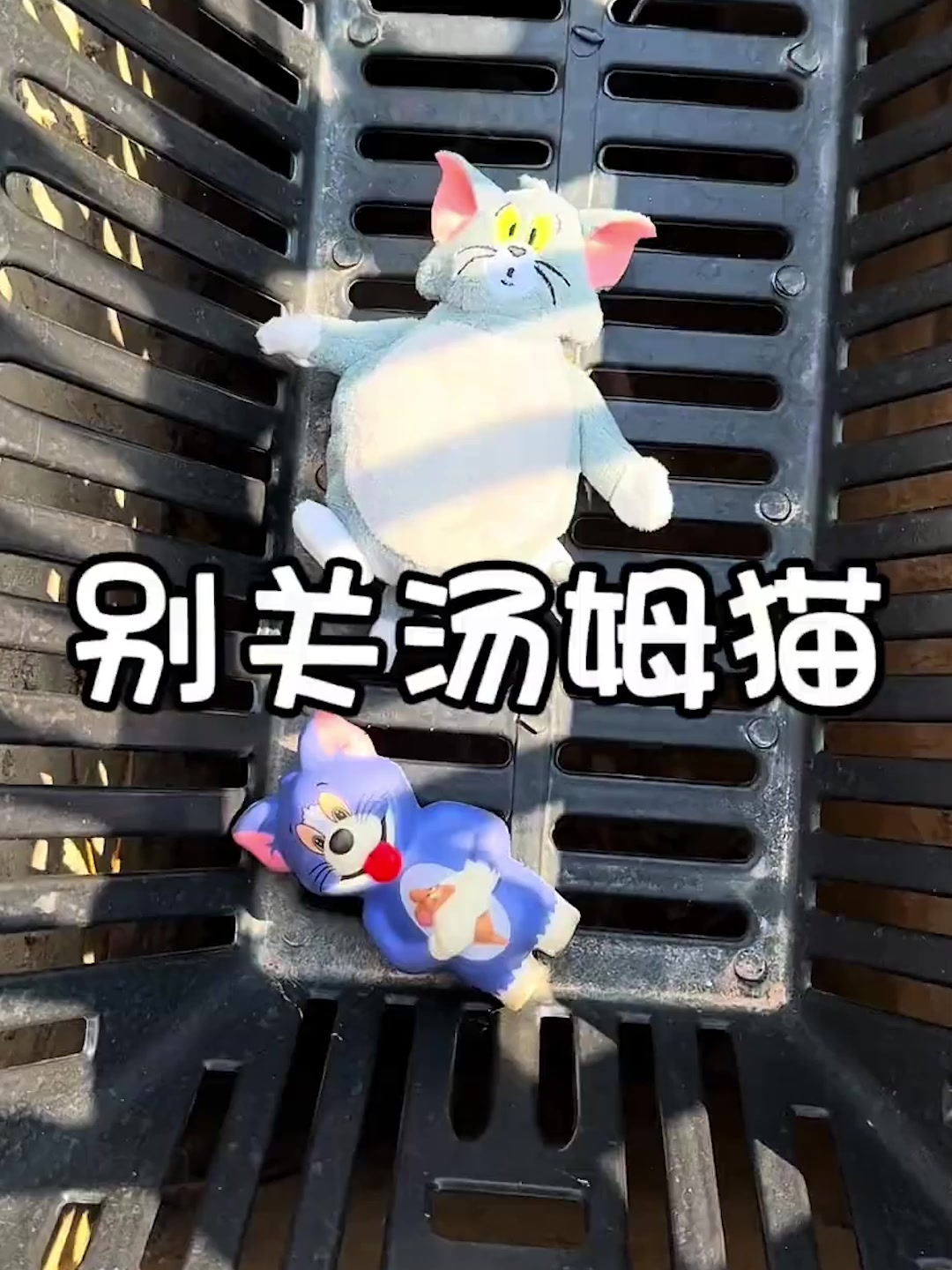 别关汤姆猫了,他和杰瑞是好朋友呢
