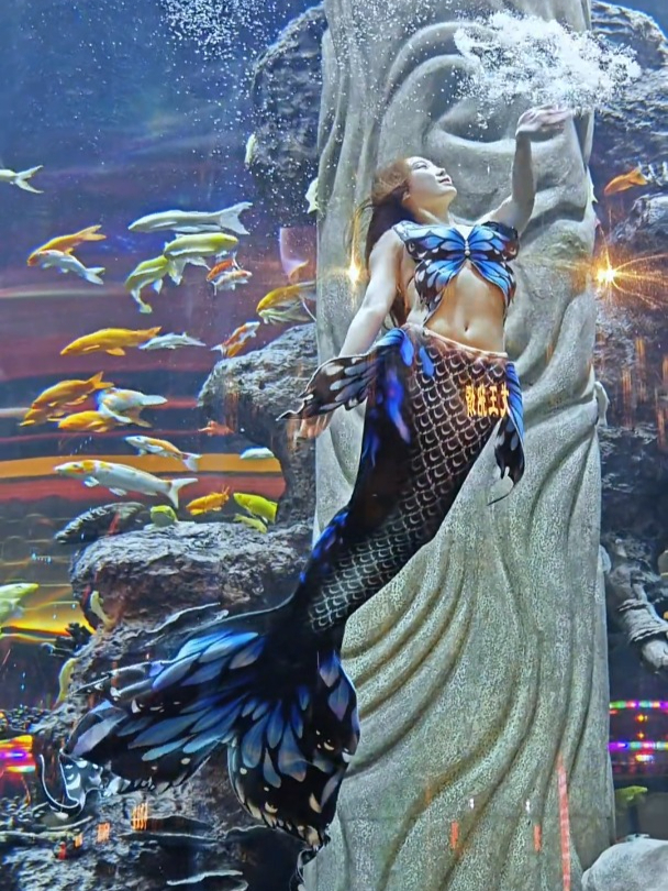 叮～你们的闺蜜鱼又变身了～