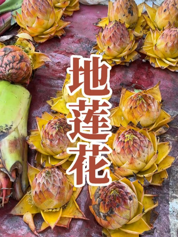 在云南,地涌金莲也可以做菜吃,你吃过吗?