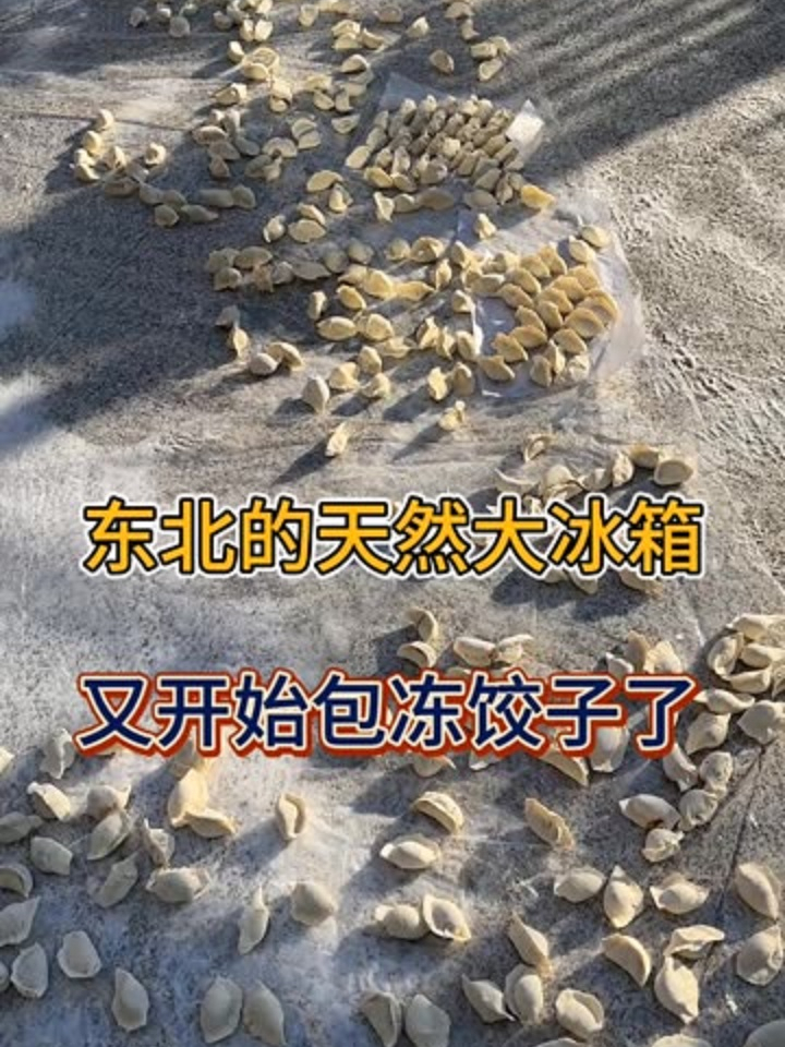 东北又开始包冻饺子了,酸菜猪肉馅的醉东北