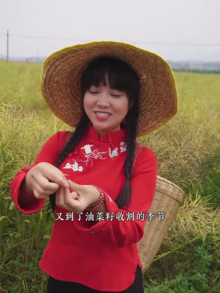 每到油菜籽丰收的时候,看着都让人心情大好,这一片片真好看!