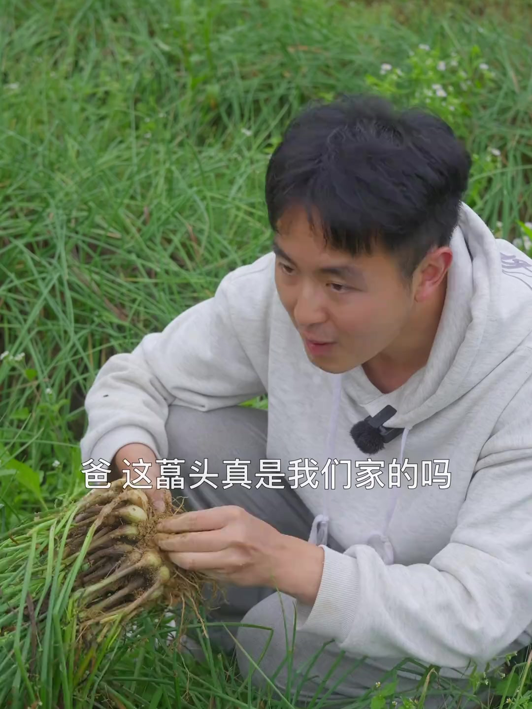 藠头大家爱吃吗,它不光可以腌起来吃,连叶子炒腊肉也很香
