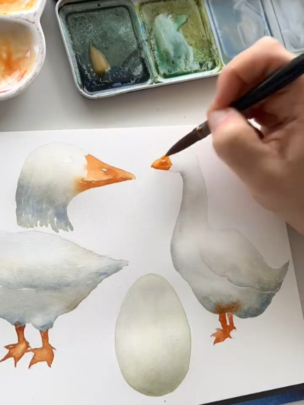 如何用水彩画大鹅