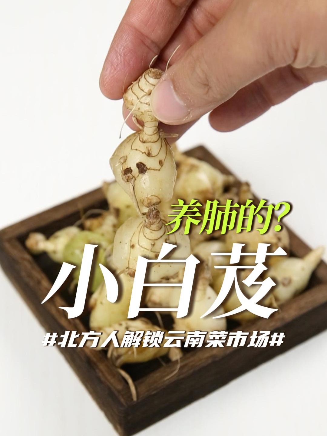 云南小白芨,润肺好宝贝!菜市场学到一个美味吃法……