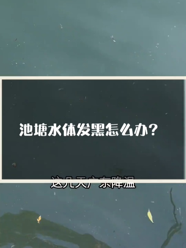 池塘水体发黑怎么办?