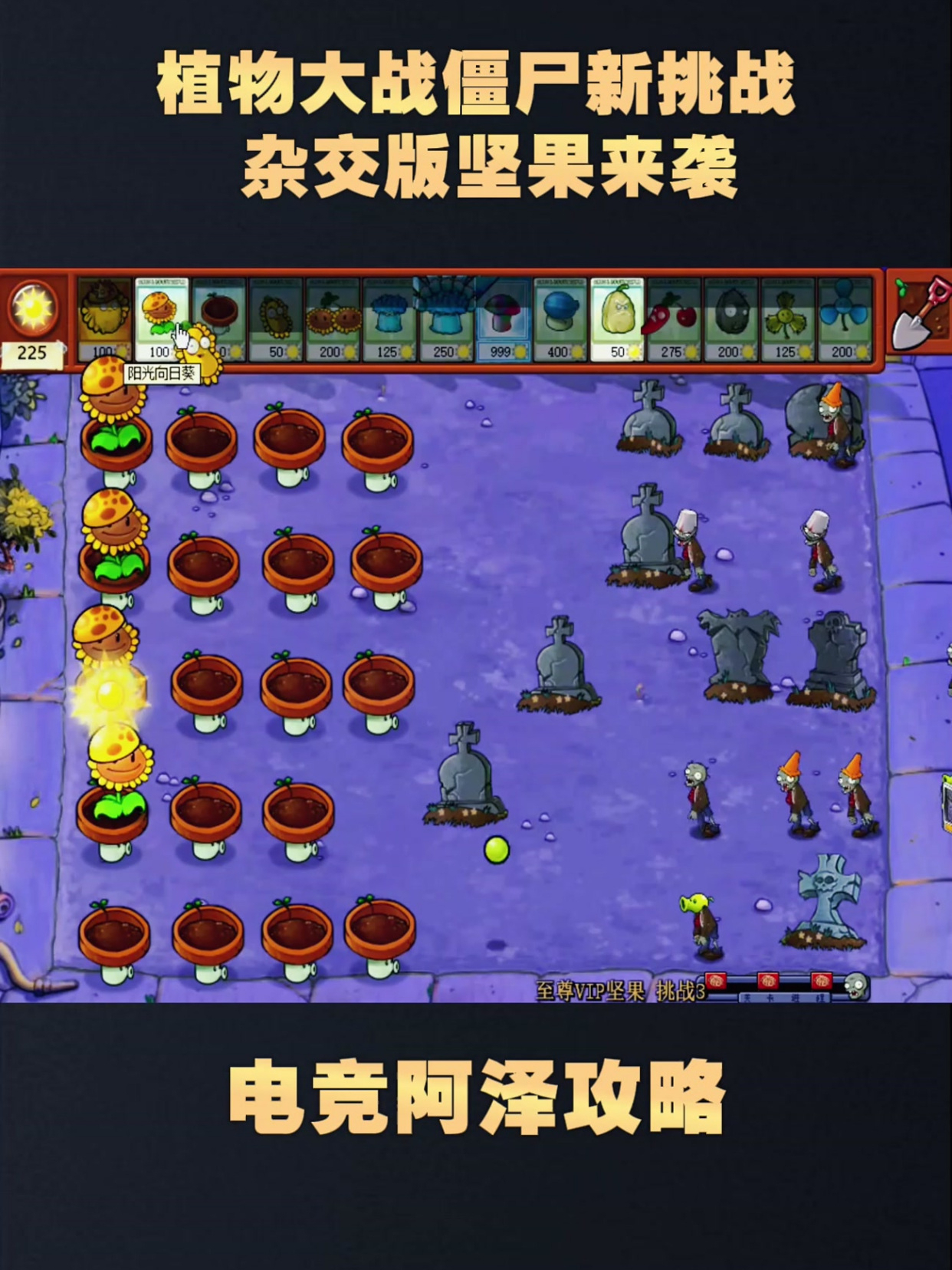 植物大战僵尸新挑战,杂交版坚果来袭