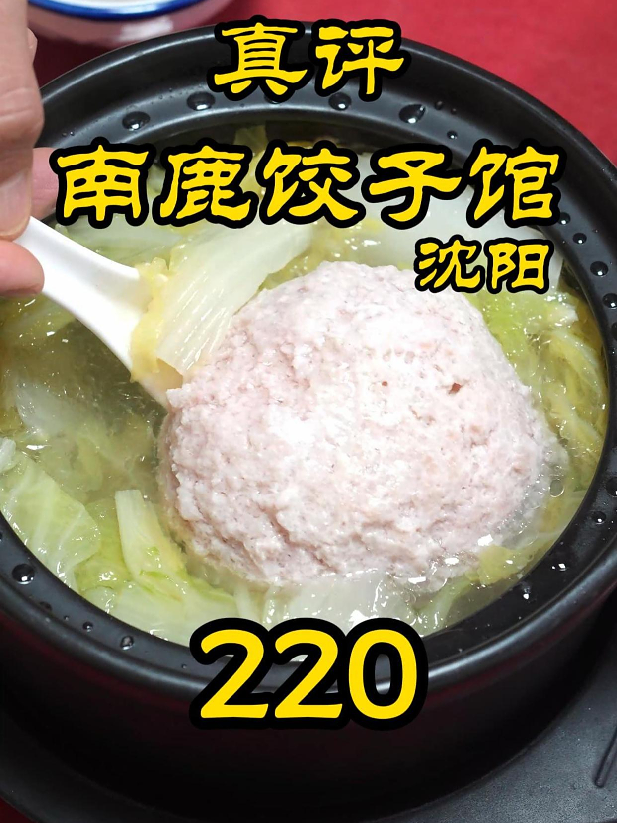 特厨探店|为什么每个沈阳人都在推荐南鹿饺子馆?