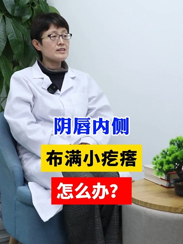 中医张翠珍主任讲:阴唇内侧,布满小疙瘩,怎么办