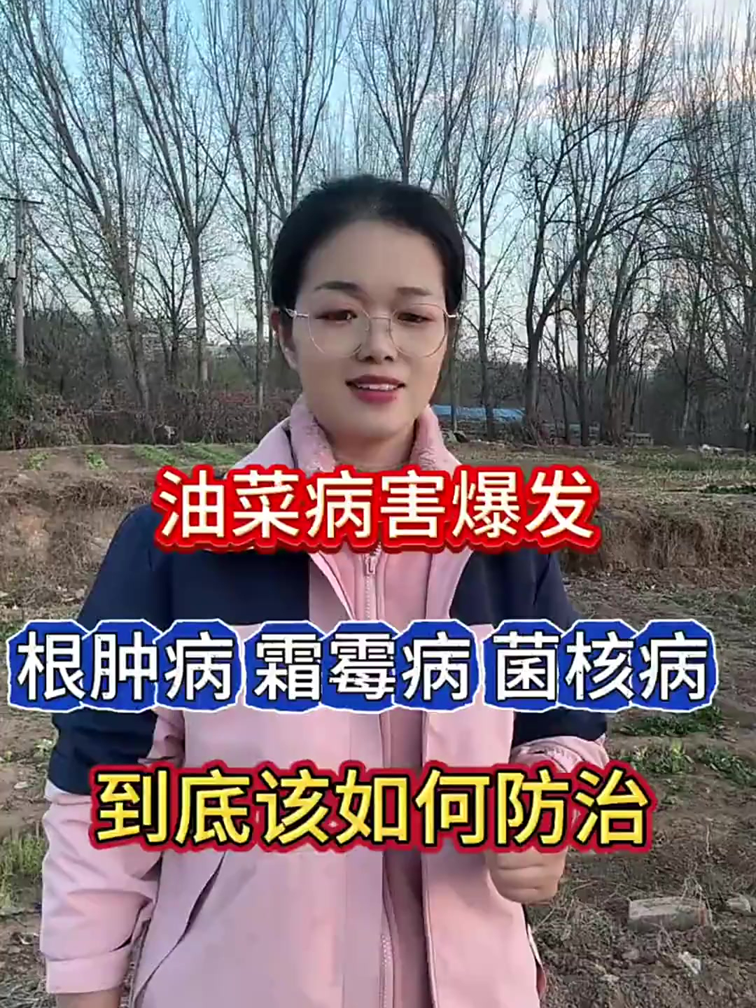 油菜得了病害,要先知道是什么病害,才能对症下药
