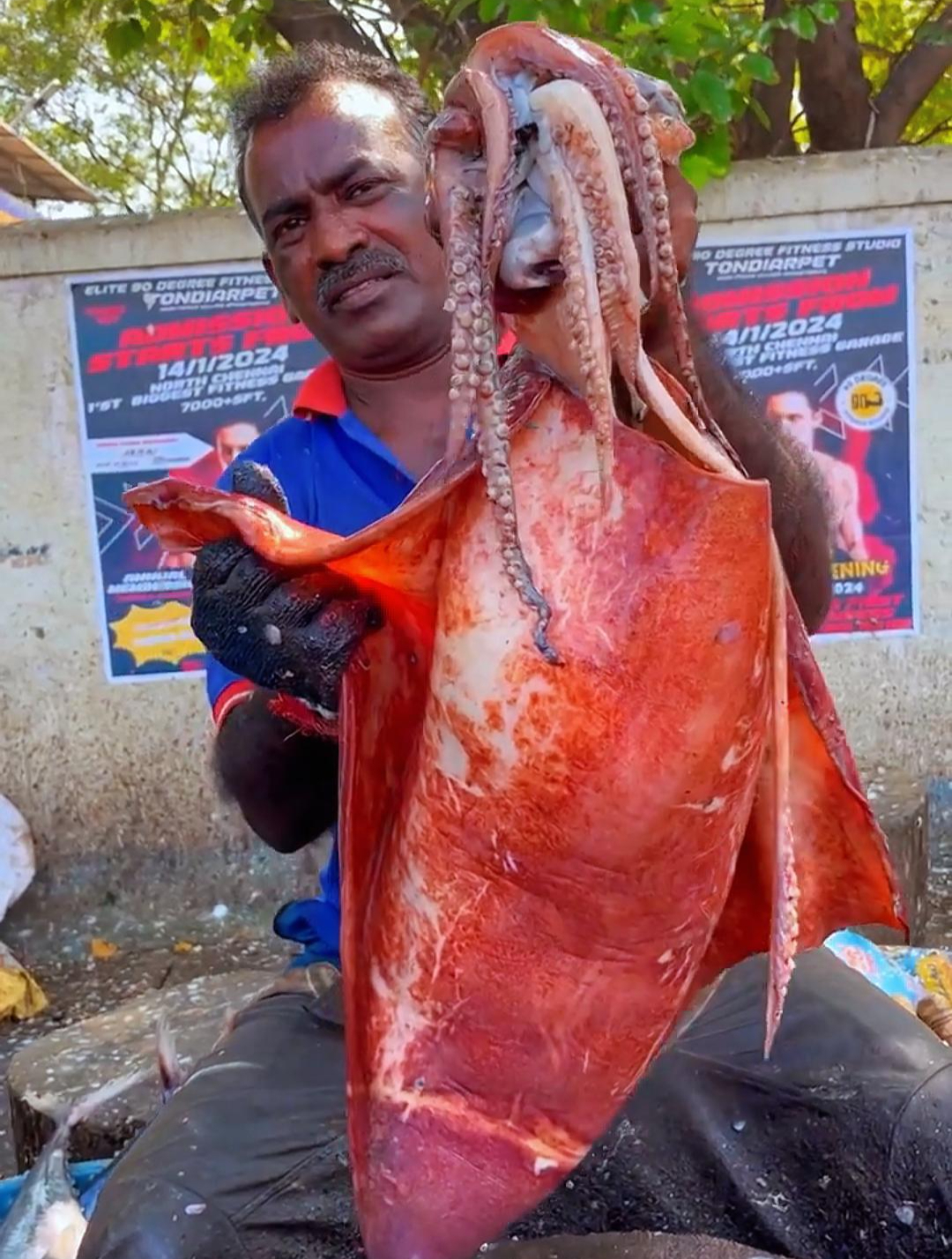 印度人是如何处理大鱿鱼的,真是让人大开眼界啊