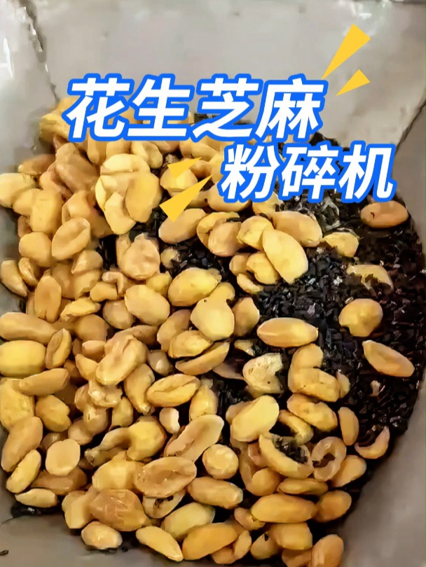 广西白糍粑之魂:粉碎机打造花生芝麻馅传奇