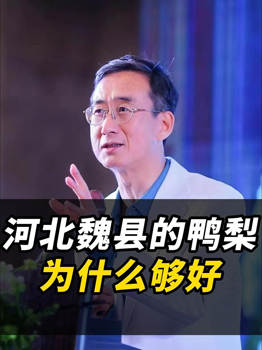 河北魏县的鸭梨为什么足够好?